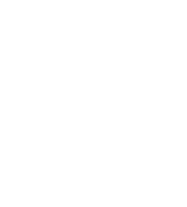 VNGRAPHENE GLOBAL